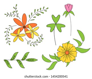 Vector cartoon illustration of flowers. illustration for design and web isolated on white background.