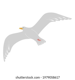 Dibujo vectorial de la gaviota voladora. Diseño plano. Pájaro volador. Aislado sobre fondo blanco.