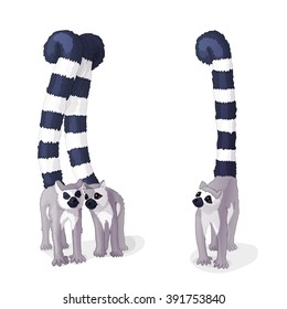 vector Cartoon illustration funny couple striped lemurs and passerby. Black and white Africa Madagascar safari wildlife. Love amour sympathy. Clip art isolated on white background. EPS 10 without mesh