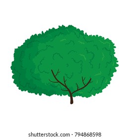 Vector cartoon illustration of green tree isolated against white background