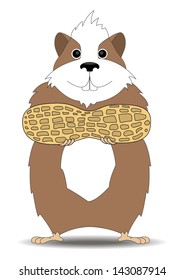 vector cartoon illustration of a hamster keeps feet in peanuts