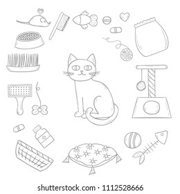 Vector cartoon illustration with hand drawn cat care things background: mouse, food, pet house, food bowl. Set of cat things icons for domestic animals design