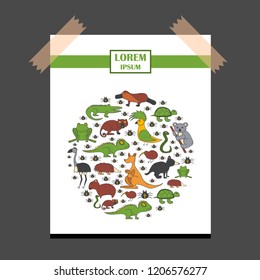 Vector cartoon illustration with hand drawn australia animals background. Australian kangaroo, koala, emu, wombat. Cartoon vector zoo characters. Australia tourism concept. Nature wildlife background
