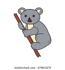 Vector cartoon illustration with hand drawn isolated koala icon on white background. Australian animal sitting on the tree. Vector children book cover hand drawn koala illustration