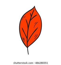Vector cartoon illustration with hand drawn isolated red autumn tree leaf on white background. Autumn leaf icon. Vector background in hand drawn cartoon style. Fall autumn season