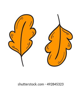 Vector cartoon illustration with hand drawn isolated orange autumn tree leaf on white background. Autumn leaf icon. Vector background in hand drawn cartoon style. Fall autumn season
