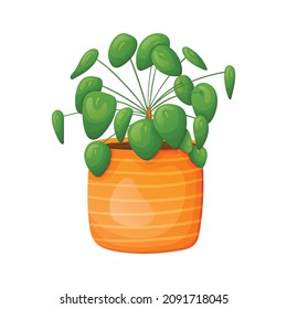 Vector cartoon illustration of home plant Pilea in a pot isolated on white background.