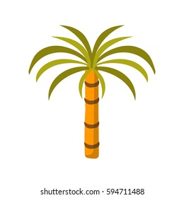 Vector cartoon illustration with isolated flat palm. Exotic tropical tree icon. Vacation, travel, beach and ocean object on white background
