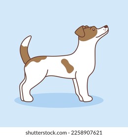 Vector cartoon illustration of a Jack Russell terrier. The dog is standing sideways with head raised, Isolated on a blue background. Pets, animals, dog theme - a design element in a flat style.