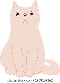 vector cartoon illustration light brown cat with big eyes on white background