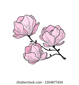 Vector cartoon illustration and magnolia flower  Spring vector illustration and flower magnolia