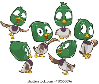 Vector cartoon illustration of male duck character with different poses and emotions. 