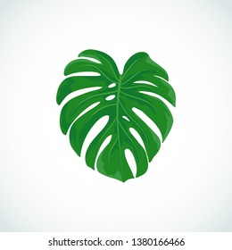 Vector cartoon illustration of Monstera leaf. Tropical plant icon isolated on white background for web, print, decoration, sale, party, summer poster.