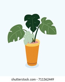 Vector cartoon illustration of Monstera plant in pot. Object on white background.
