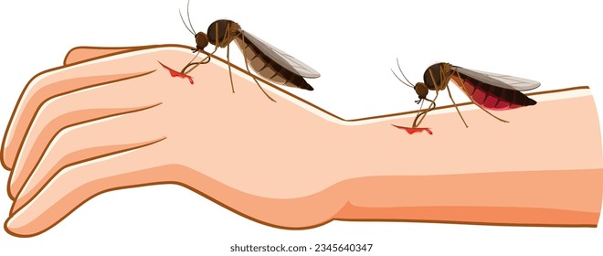 Vektorgrafik eines Moskitos, das einen menschlichen Arm beißt und Blut extrahiert