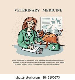 Vector cartoon illustration on the theme of veterinary clinic, medicine, pet treatment. Veterinarian prescribes medication for sick cat. Colorful line art