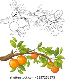 Vector cartoon illustration of an orange tree branch for colouring