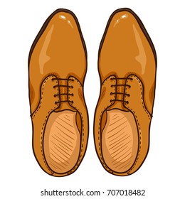 Vector Cartoon Illustration - Pair of Brown Leather Men Shoes. Top View