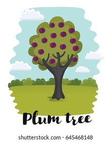 Vector cartoon illustration of plum tree fruit on green summer nature background and hand drawn lettering name