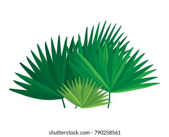 Vector cartoon illustration of pointed green palm fronds isolated against white background