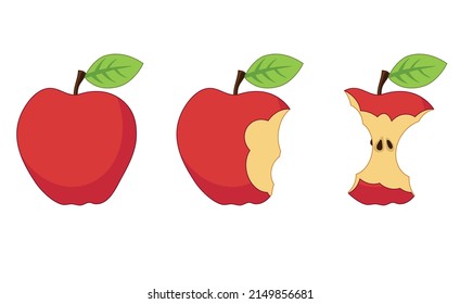 Vector cartoon illustration of red whole and bitten apple.