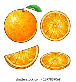 Vector cartoon illustration of set of orange, isolated on white background