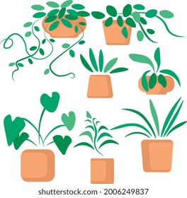 Conjunto de ilustraciones de dibujos animados. Planta en la olla. Plantas decorativas de diferentes macetas para decoración interior en casa o oficina.