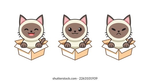 Vector cartoon illustration set of siamese cat showing different emotions in cardboard boxes for design.