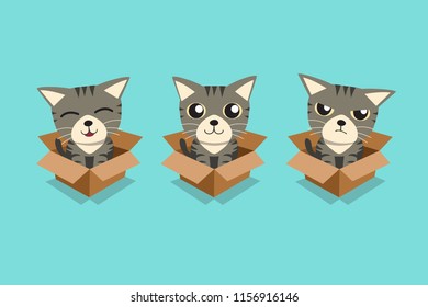 Vector cartoon illustration set of tabby cat in cardboard box for design.