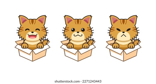 Vector cartoon illustration set of tabby cat showing different emotions in cardboard boxes for design.
