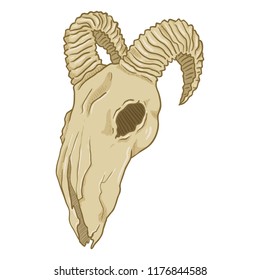 Vector Cartoon Illustration - Skull of Goat