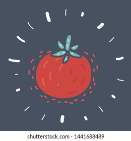 Vector cartoon illustration of Tomato. Isolated vegetables.