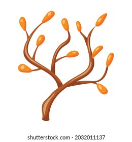 Vector cartoon illustration of an tree branch with twigs and orange leaves or fruits.