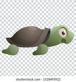 Vector cartoon illustration of a turtle.