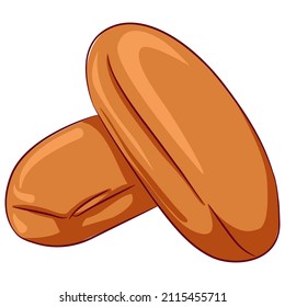 Vector cartoon illustration of two bread rolls isolated on white. Fresh pastry, baked bread. Baked goods food Icon. Design for cookbook, restaurant business.