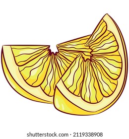 Dibujo vectorial de dos piezas de limón aisladas en blanco. Cítricos en rodajas, producto orgánico. Tejidos de limón. Icono de comida. Diseño para libros de cocina, restaurantes.