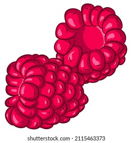 Vector cartoon illustration of two raspberries fruit isolated on white. Healthy farm fruit, organic product, summer food. Food Icon. Design for cookbook, restaurant business.