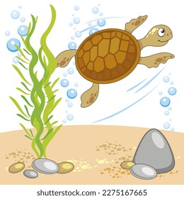 Vektorgrafik-Illustration der Unterwasserwelt mit Schildkröte, Sandboden, Felsen, Algen, weißem Hintergrund