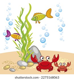 vector cartoon illustration of the underwater world with crabs, fishes, sandy bottom, rocks, algae, bubbles white background