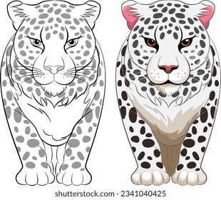 A vector cartoon illustration of a white tiger walking in isolation