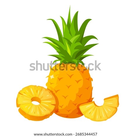 Vector cartoon illustration of a whole pineapple fruit and pineapple slices isolated on a white background. Tropical fruit design.