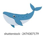 Vector cartoon illustrations of blue whale on a white background. Flat cute icon of whale. Underwater world, ocean, underwater inhabitants.