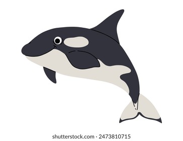 Vector ilustraciones de dibujos animados de orca sobre un fondo blanco. Icono lindo plano de la orca. Mundo submarino, océano, habitantes submarinos.