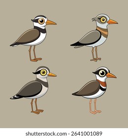 Vector Cartoon Illustrations of Plovers