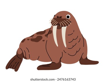 Vector cartoon illustrations of walrus on a white background. Flat cute icon of walrus. Underwater world, ocean, underwater inhabitants.