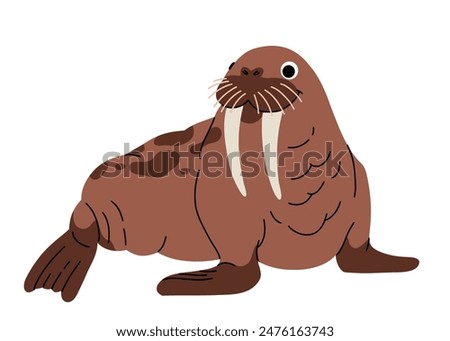 Vector cartoon illustrations of walrus on a white background. Flat cute icon of walrus. Underwater world, ocean, underwater inhabitants.