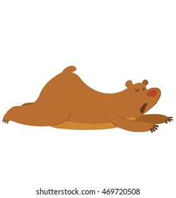 Vector cartoon image of a cute brown bear lying on his belly and yawning on a white background. 