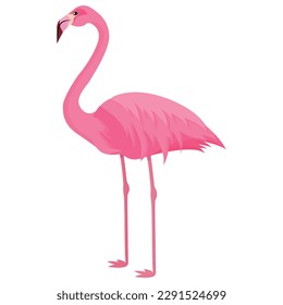 Vector cartoon image of a flamingo. The concept of recreation, travel and the beach. Colorful elements for design.