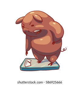 Vector cartoon image of a funny plump pink displeased pig standing on floor scales on a white background. Color image. Positive character, farm. Vector illustration.