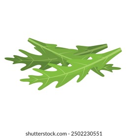 Vector cartoon image of hamburger ingredient. Arugula. Fast food and tasty food concept. Elements for your design. Banner for website, leaflets, etc.